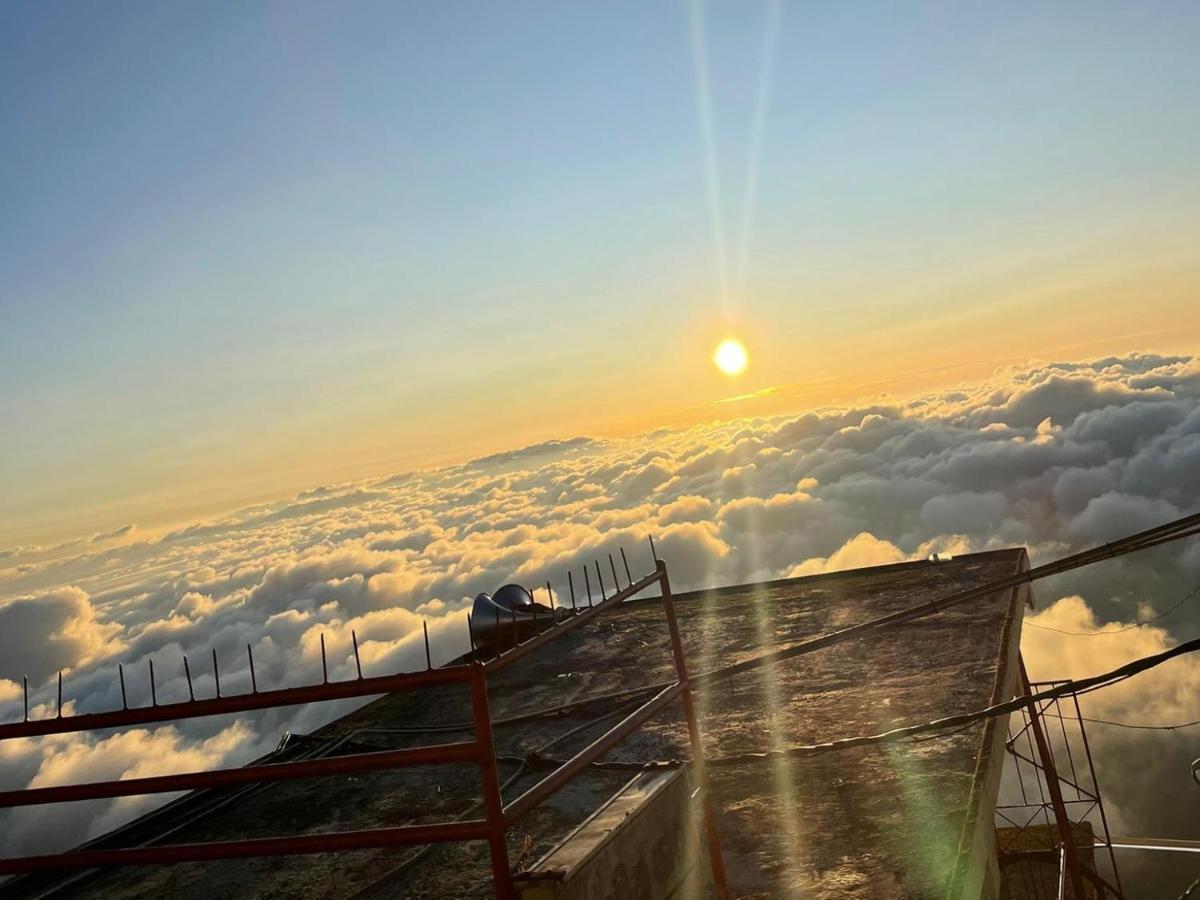 Mount View *