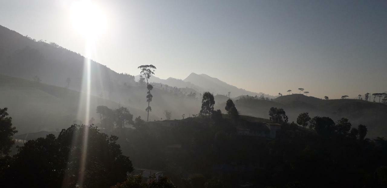 Mount View